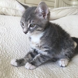 Meet your Posher, Kyoko